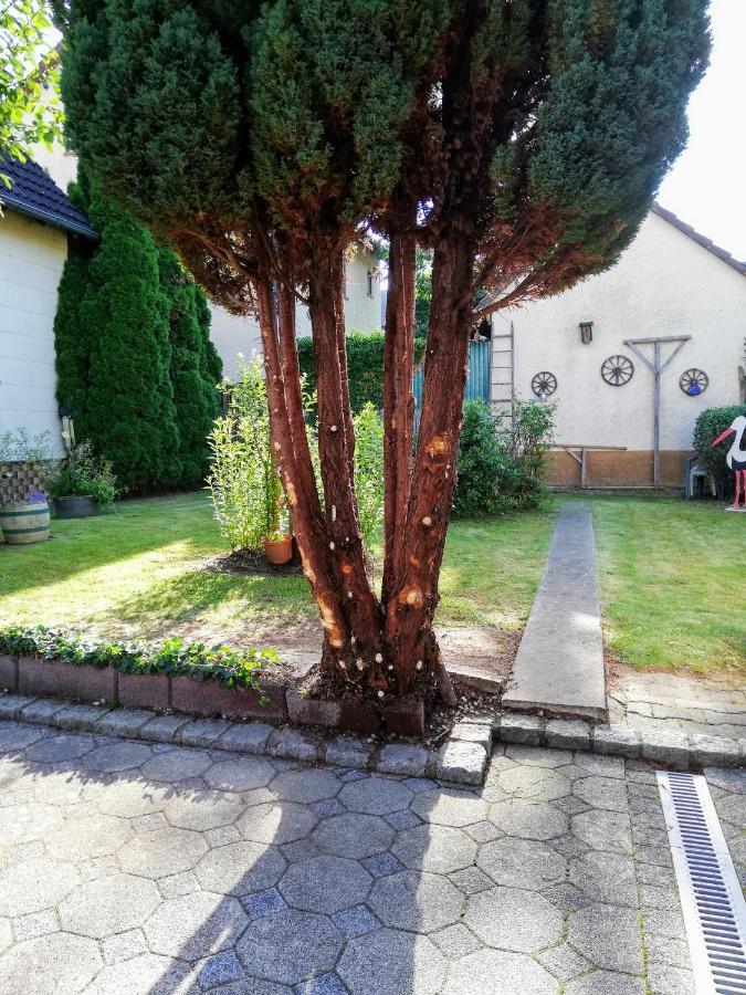 Ferienappartement Obrigheim Мосбах Екстериор снимка
