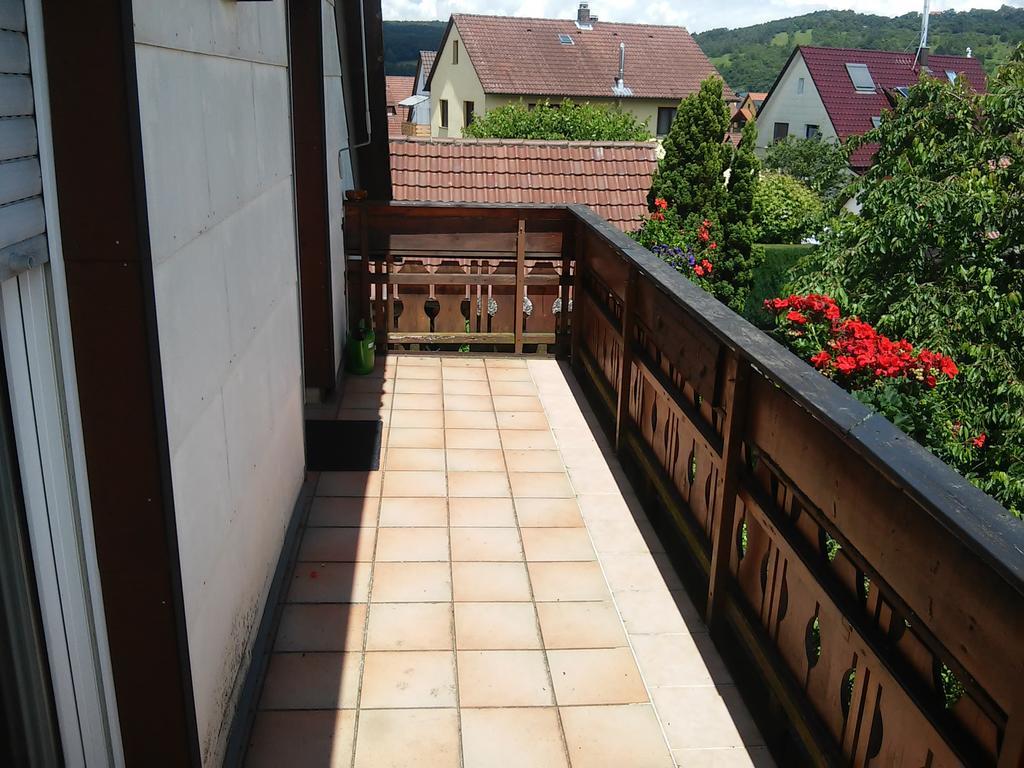 Ferienappartement Obrigheim Мосбах Екстериор снимка